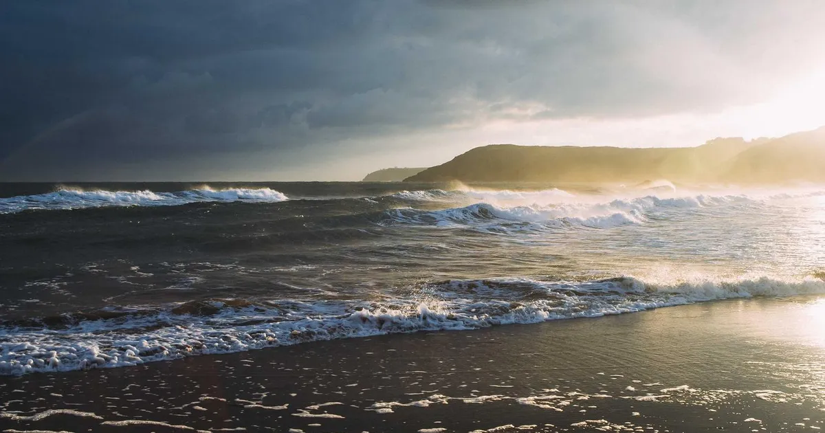 Valg af lægespeciale i Danmark – guide for studerende