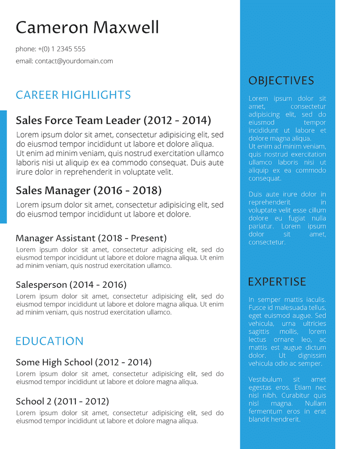The Strategist CV template